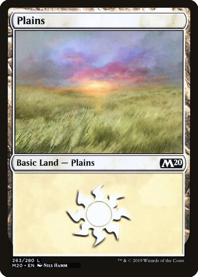 Plains 「M20/263」「EN」