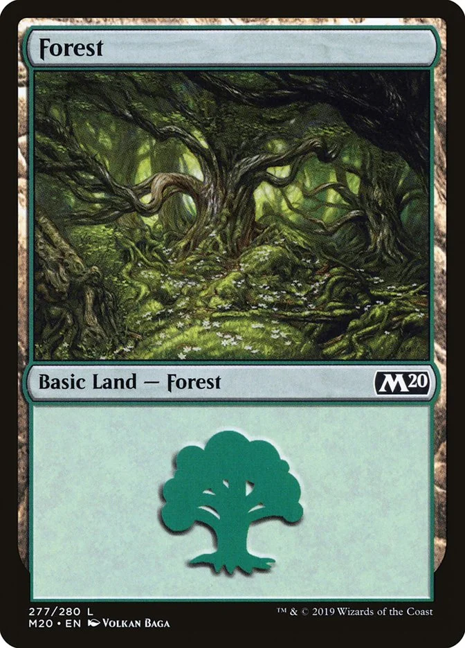 Forest 「M20/277」「EN」