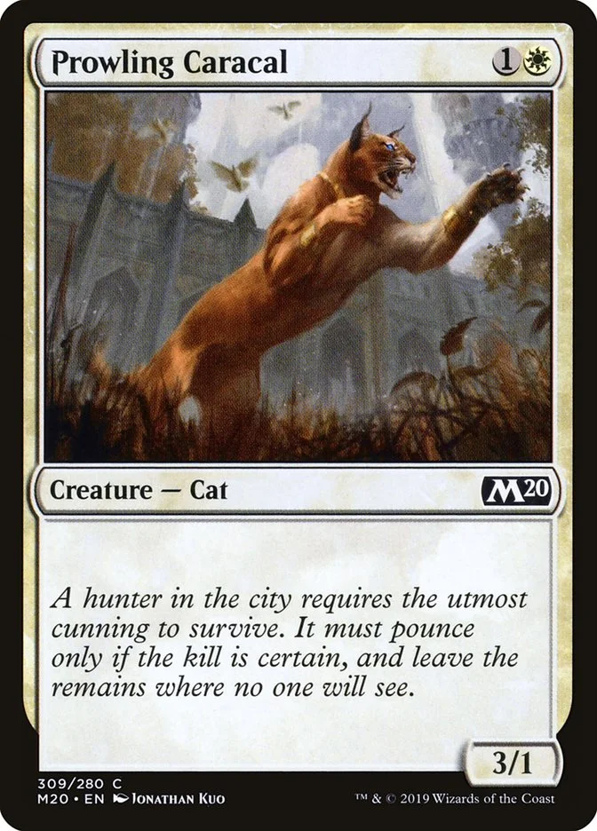 Prowling Caracal 「M20/309」「EN」