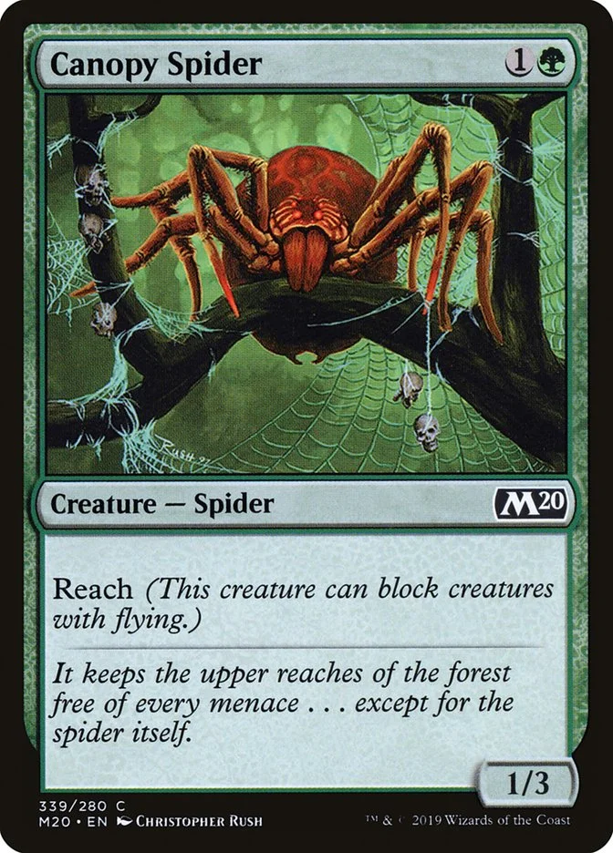 Canopy Spider 「M20/339」「EN」