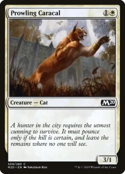 Prowling Caracal 「M20/309」「EN」