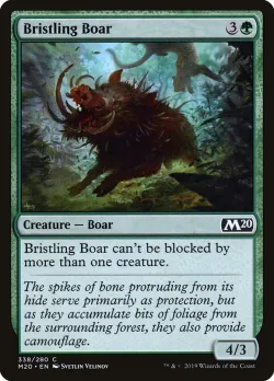 Bristling Boar 「M20/338」「EN」