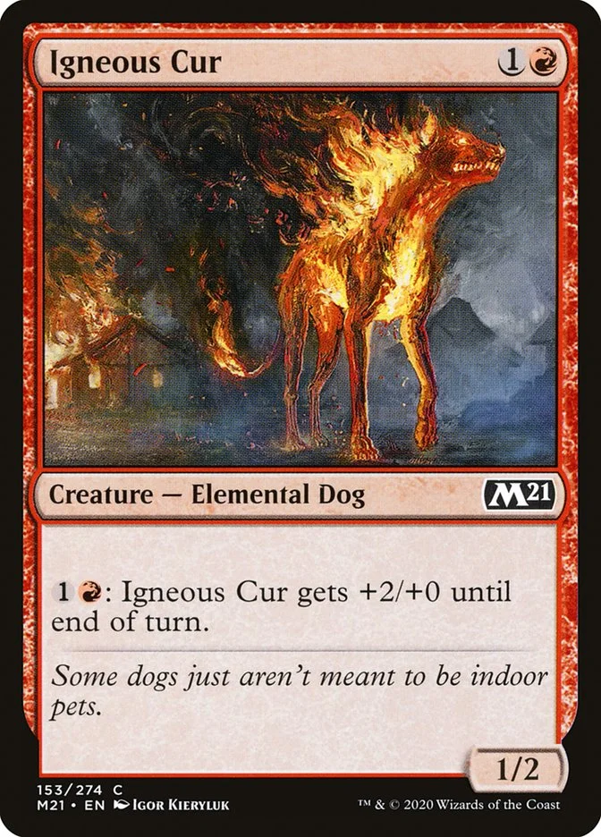 Igneous Cur 「M21/153」「EN」