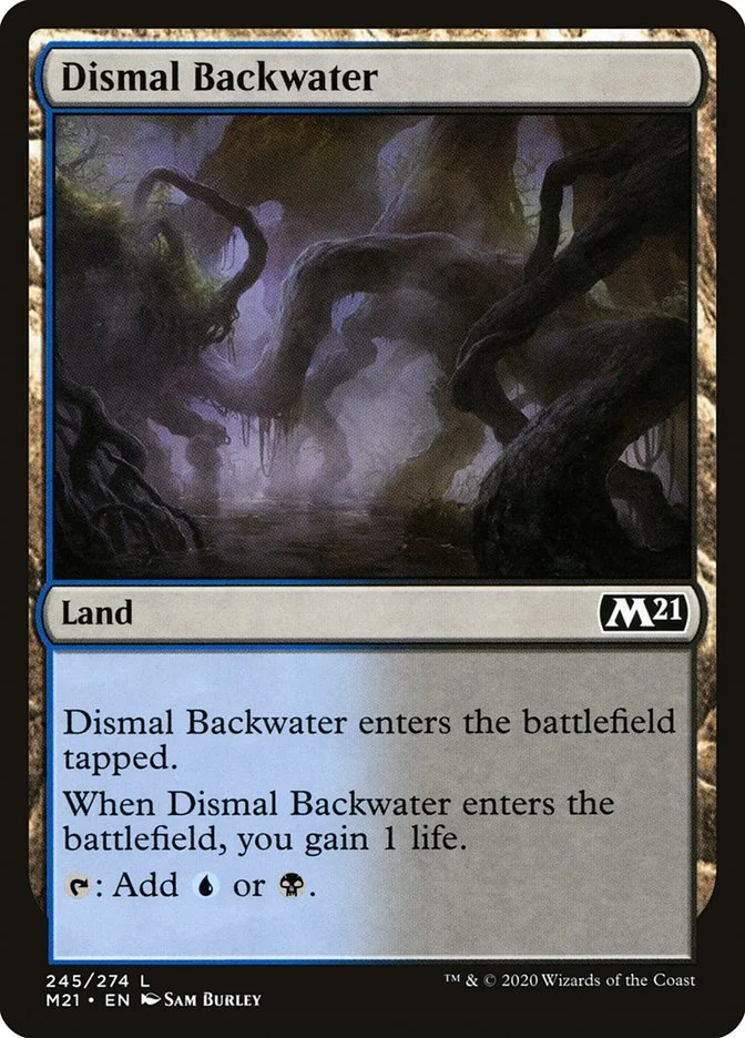 Dismal Backwater 「M21/245」「EN」