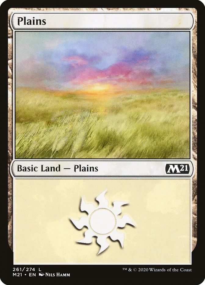 Plains 「M21/261」「EN」