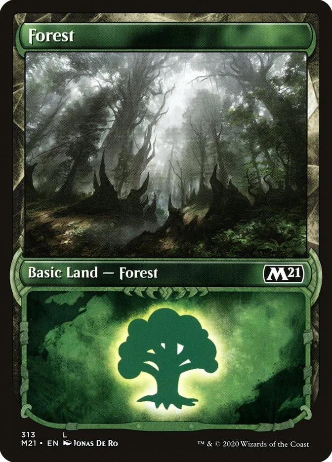 Forest 「M21/313」「EN」