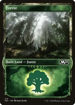 Forest #313 · Magic: The Gathering