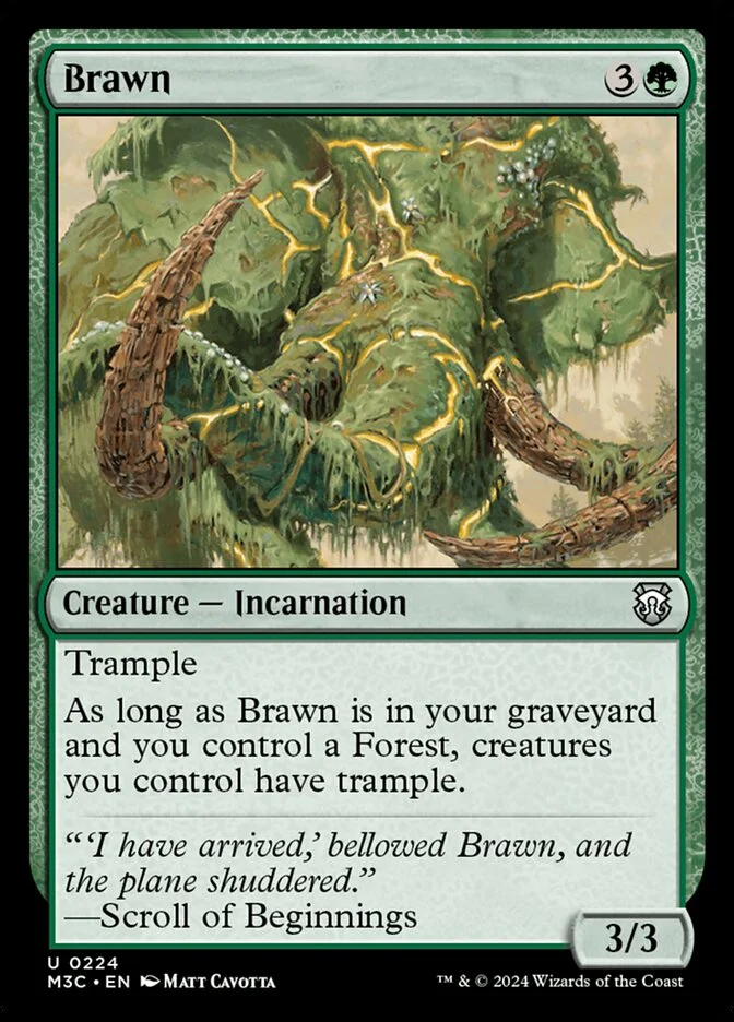 Brawn 「M3C/224」「EN」