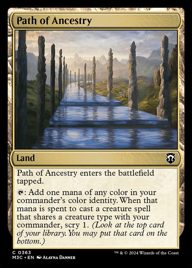 Path of Ancestry 「M3C/363」「EN」