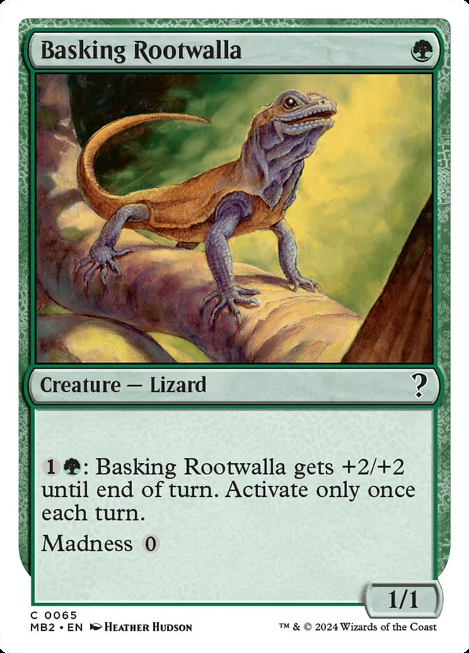 Basking Rootwalla 「MB2/65」「EN」