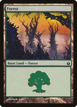 Forest 「MBS/155」「EN」