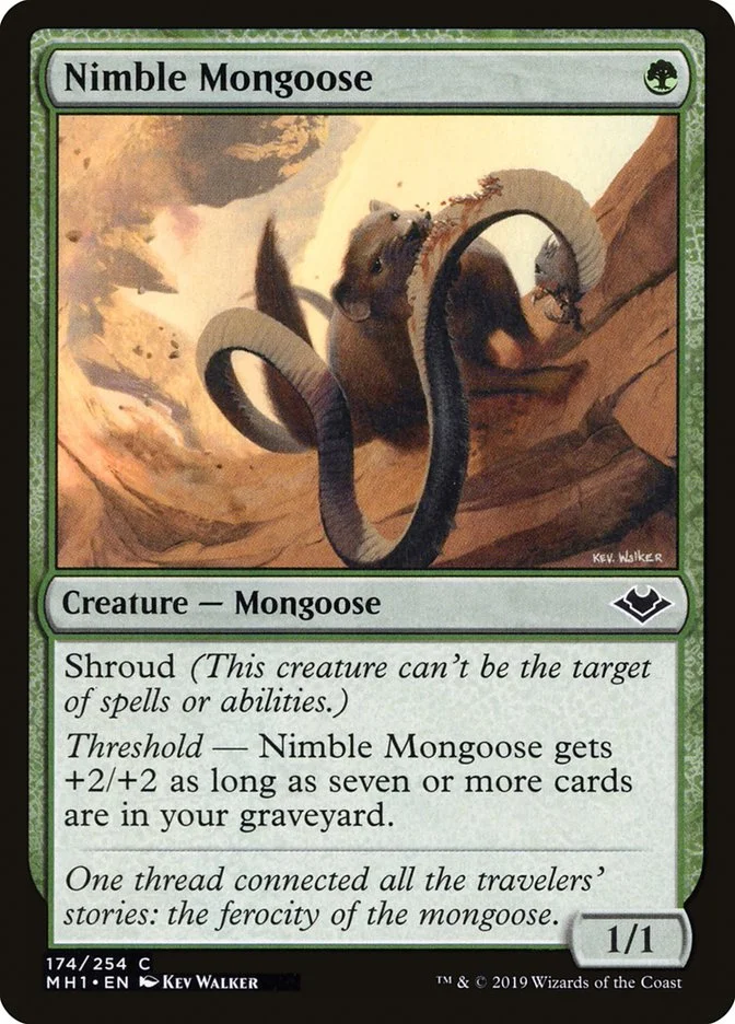 Nimble Mongoose 「MH1/174」「EN」