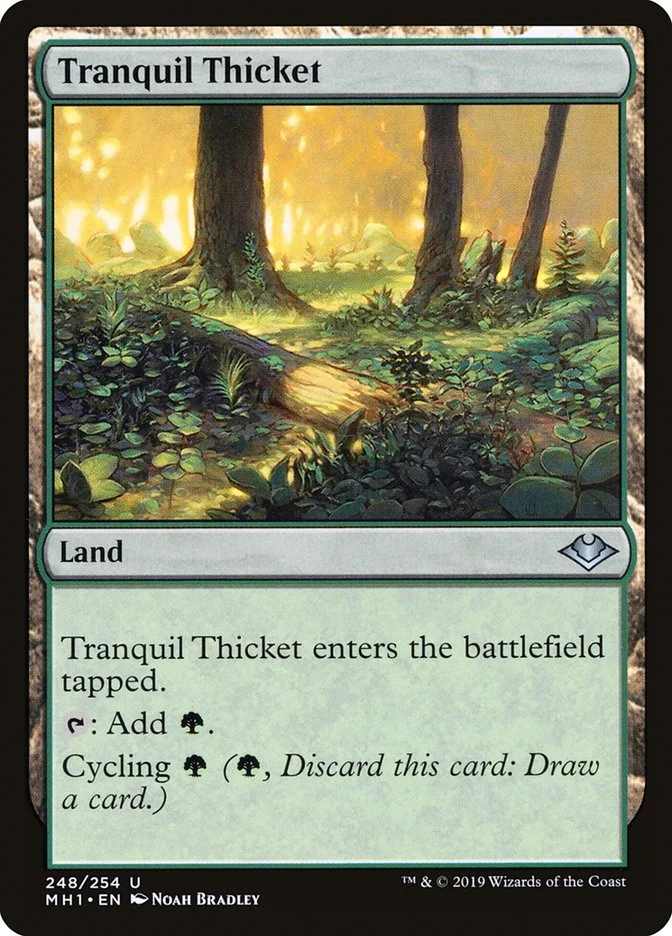 Tranquil Thicket 「MH1/248」「EN」