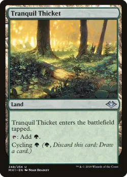 Tranquil Thicket 「MH1/248」「EN」