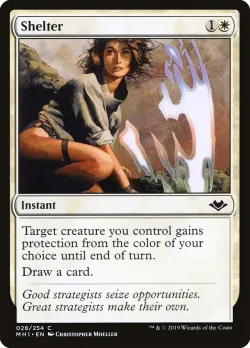 Shelter #28 · Magic: The Gathering