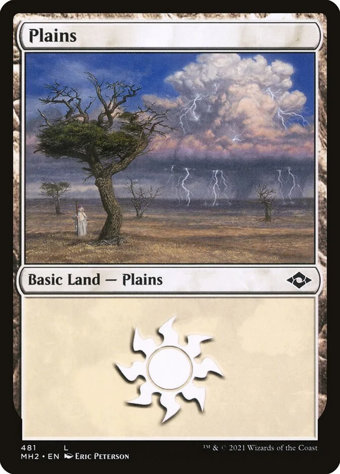 Plains 「MH2/481」「EN」