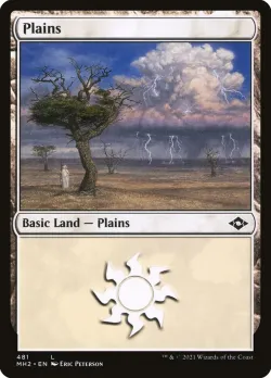 Plains 「MH2/481」「EN」