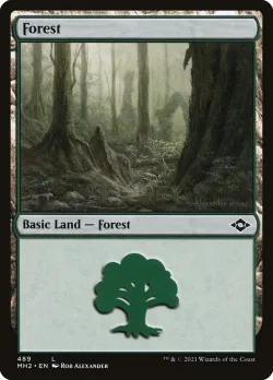 Forest 「MH2/489」「EN」