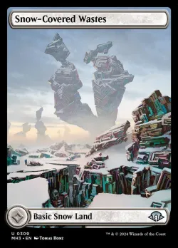 Snow-Covered Wastes #309 · Magic: The Gathering