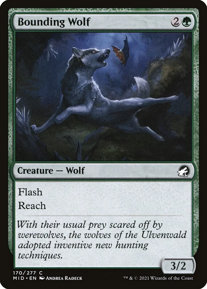 Bounding Wolf 「MID/170」「EN」