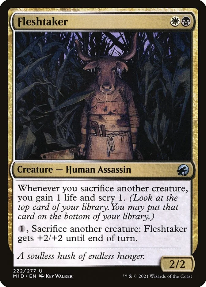 Fleshtaker 「MID/222」「EN」