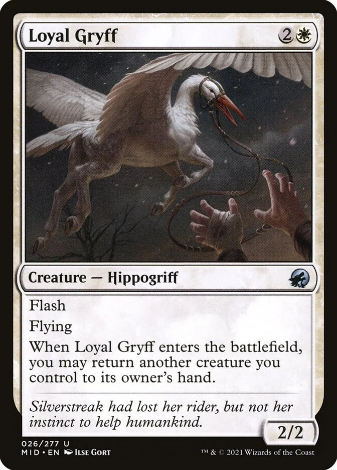 Loyal Gryff 「MID/26」「EN」
