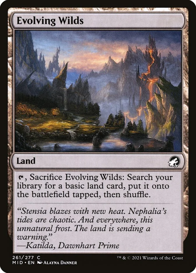 Evolving Wilds 「MID/261」「EN」