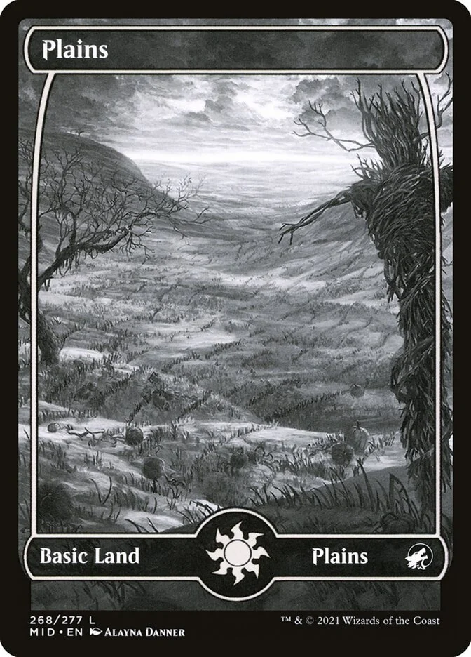 Plains 「MID/268」「EN」