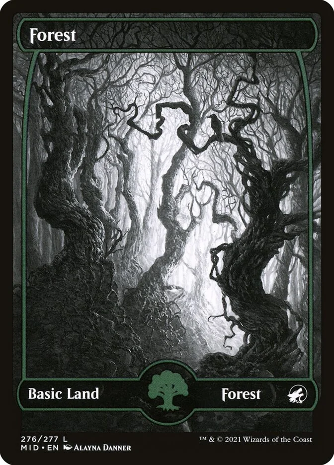 Forest 「MID/276」「EN」