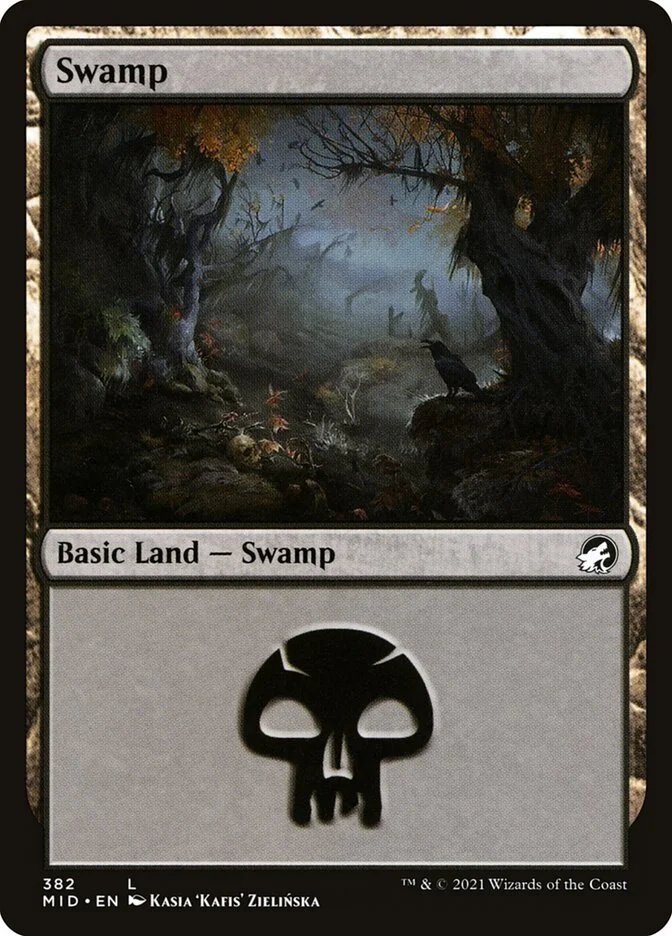 Swamp 「MID/382」「EN」