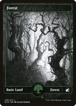 Forest #276 · Magic: The Gathering