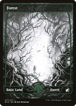 Forest #277 · Magic: The Gathering