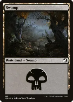 Swamp 「MID/382」「EN」