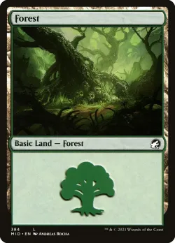 Forest 「MID/384」「EN」