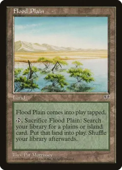 Flood Plain 「MIR/326」「EN」