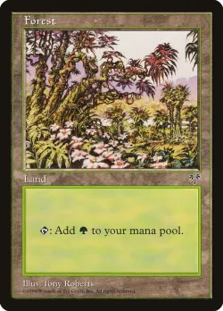 Forest 「MIR/350」「EN」