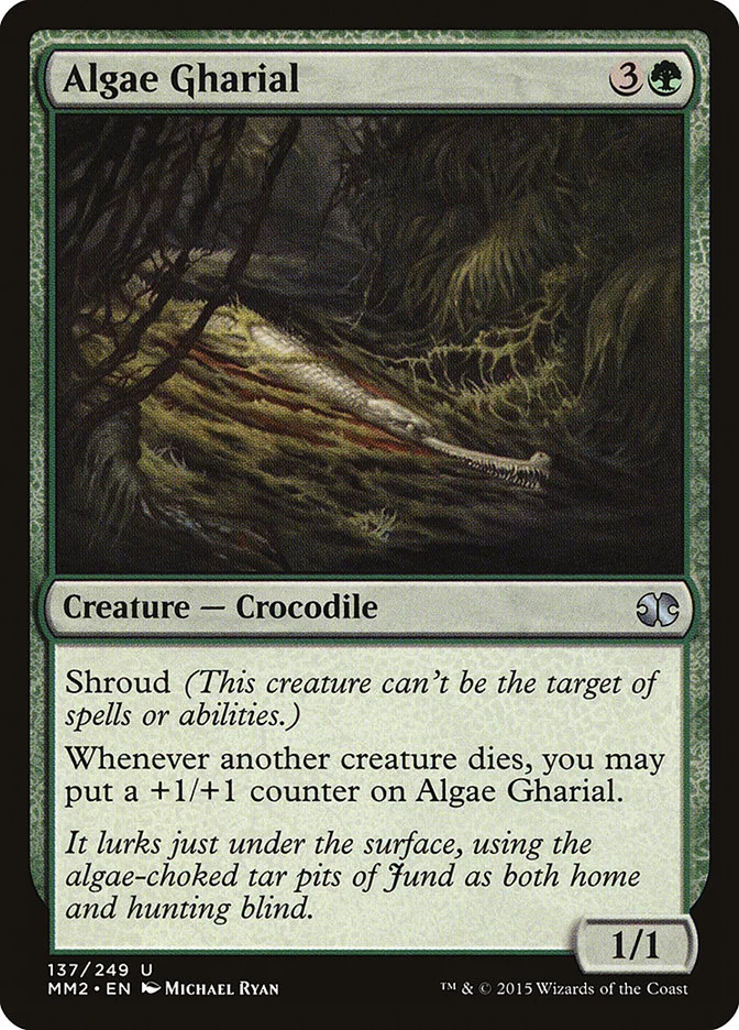 Algae Gharial 「MM2/137」「EN」