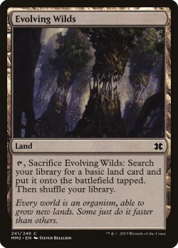 Evolving Wilds 「MM2/241」「EN」