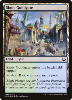 Simic Guildgate 「MM3/248」「EN」