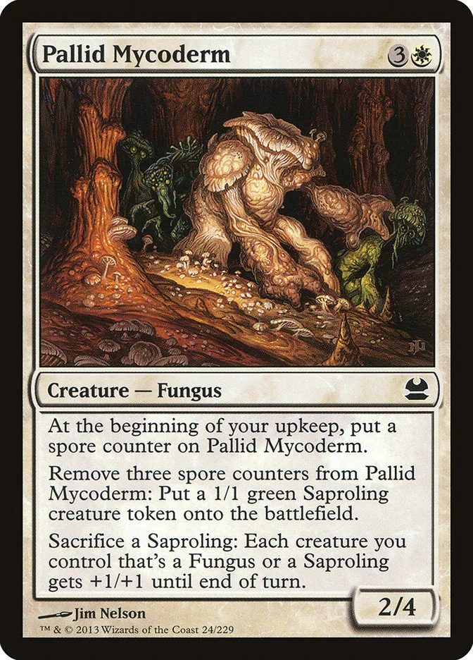Pallid Mycoderm 「MMA/24」「EN」