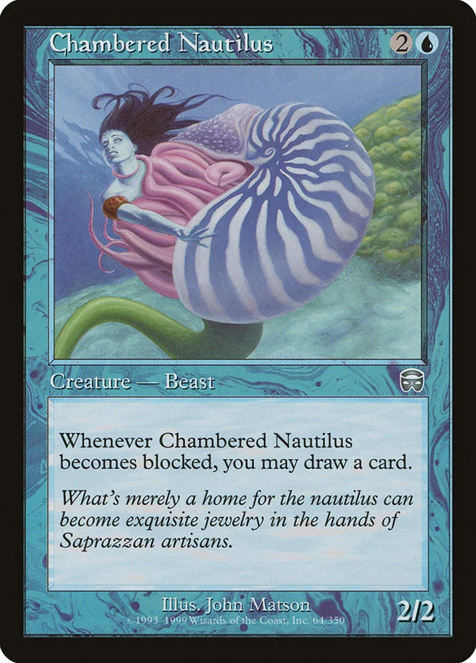 Chambered Nautilus 「MMQ/64」「EN」