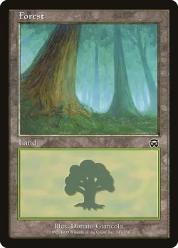 Forest 「MMQ/347」「EN」