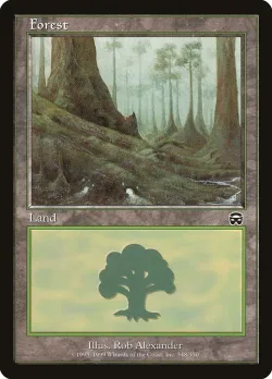 Forest 「MMQ/348」「EN」