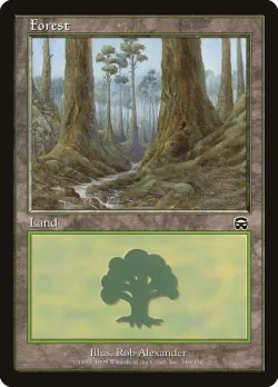 Forest 「MMQ/349」「EN」