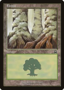 Forest 「MMQ/350」「EN」