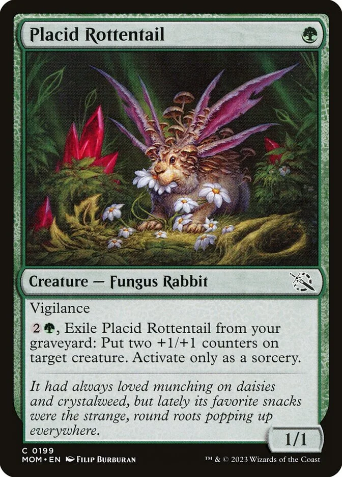 Placid Rottentail 「MOM/199」「EN」