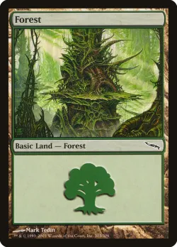 Forest 「MRD/303」「EN」