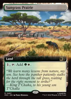 Sungrass Prairie #497 · Magic: The Gathering