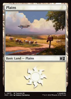 Plains 「MSC/873」「EN」