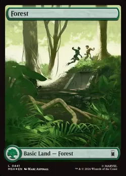 Forest 「MSH/441」「EN」